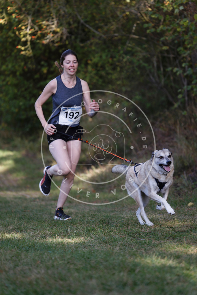 0L8A5668 | Hundefotografie, Tierfotograf, Pfotenfotografie, Fotoshooting Hund, Hunde Portrait, Hundesport, Hundeportraits, Heideshooting, Hunde, Sportfotograf, Hundefotograf, Turnierhundsport, THS,  - Realisiert mit Pictrs.com