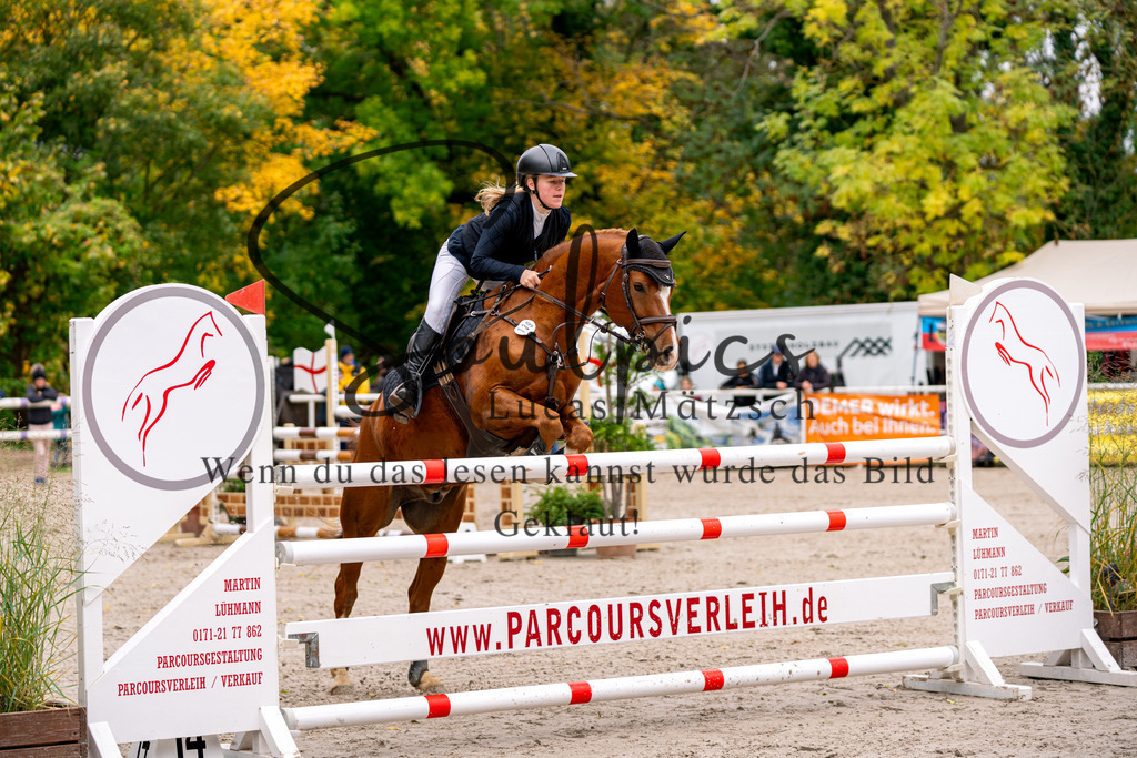 A7V01038 | Pferdefotograf