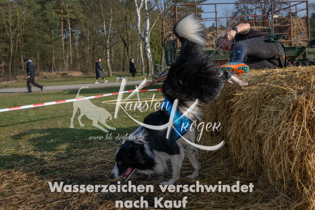 _ZZ92257 | kk-dogfotos