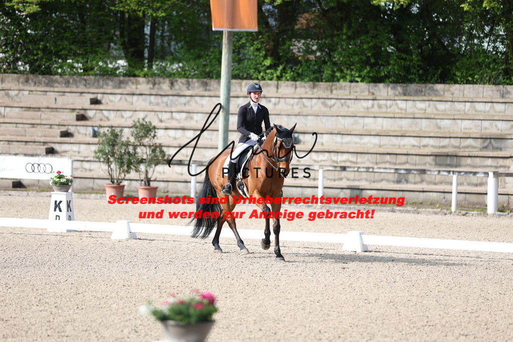 A40A3497 | lmwpictures - Realisiert mit Pictrs.com