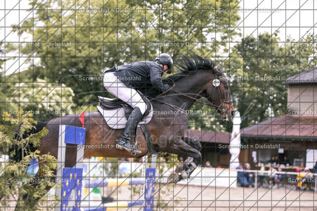 _W6A7601 | ronjaprokoschfotografie - Realisiert mit Pictrs.com