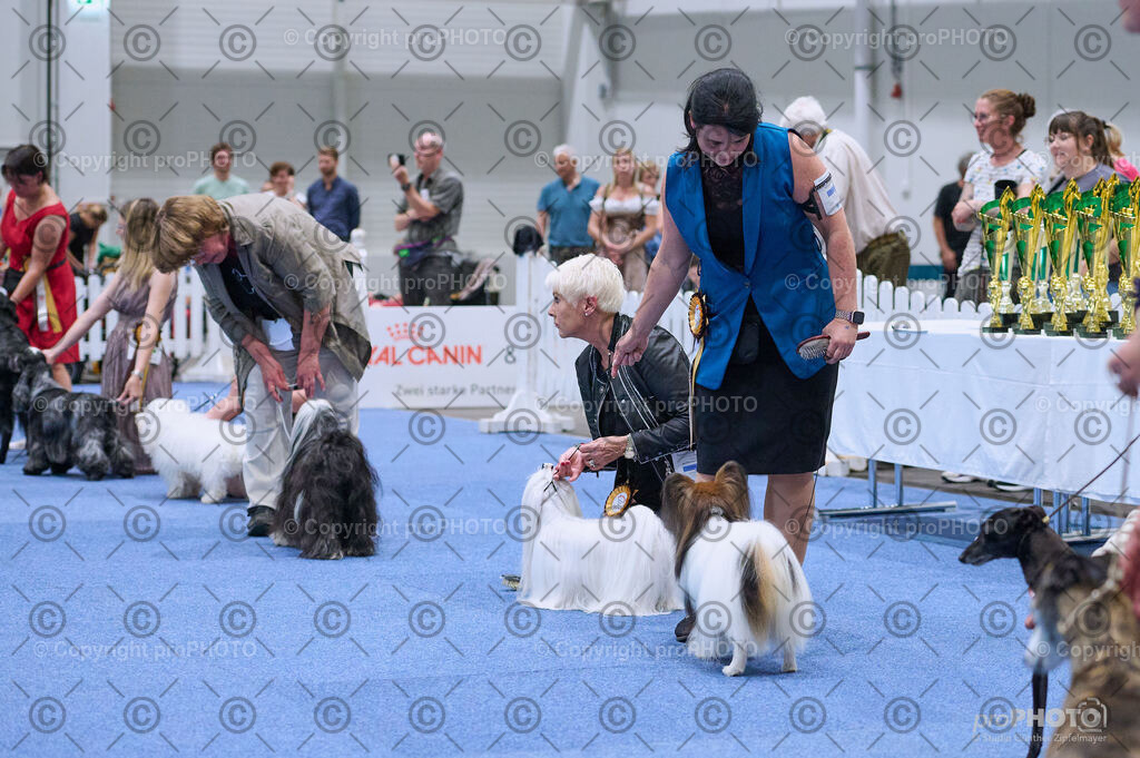 202406_ÖKV-IHA-Tulln24_DSC_3651 | proPHOTO - Realisiert mit Pictrs.com