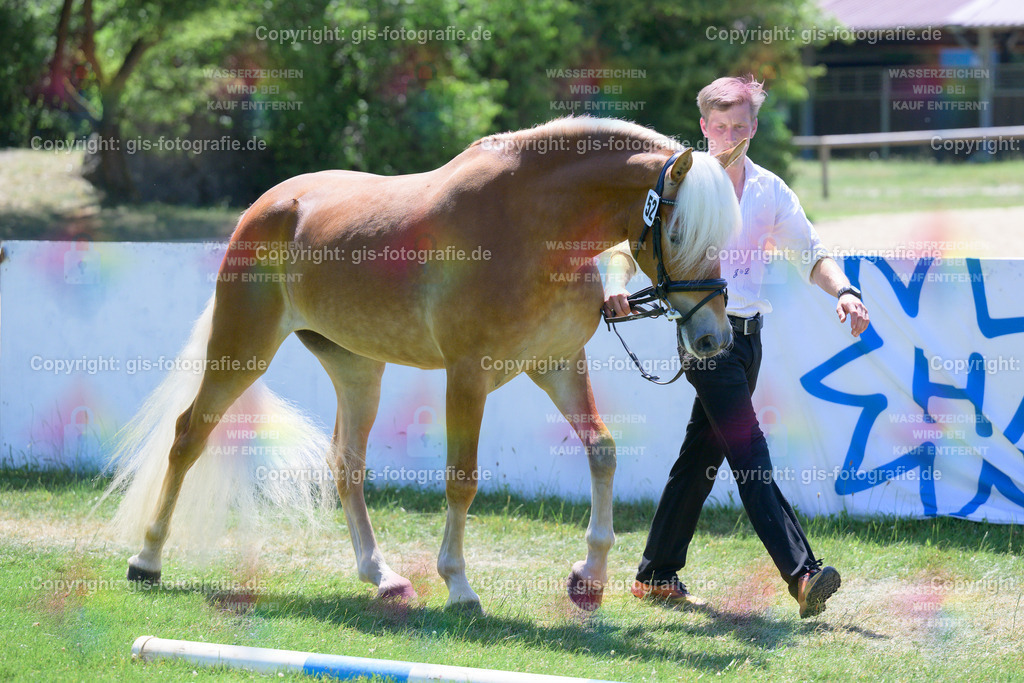 52_Discordia-S_v.Weingold-S_Söllner_250621_02 | gis-fotografie