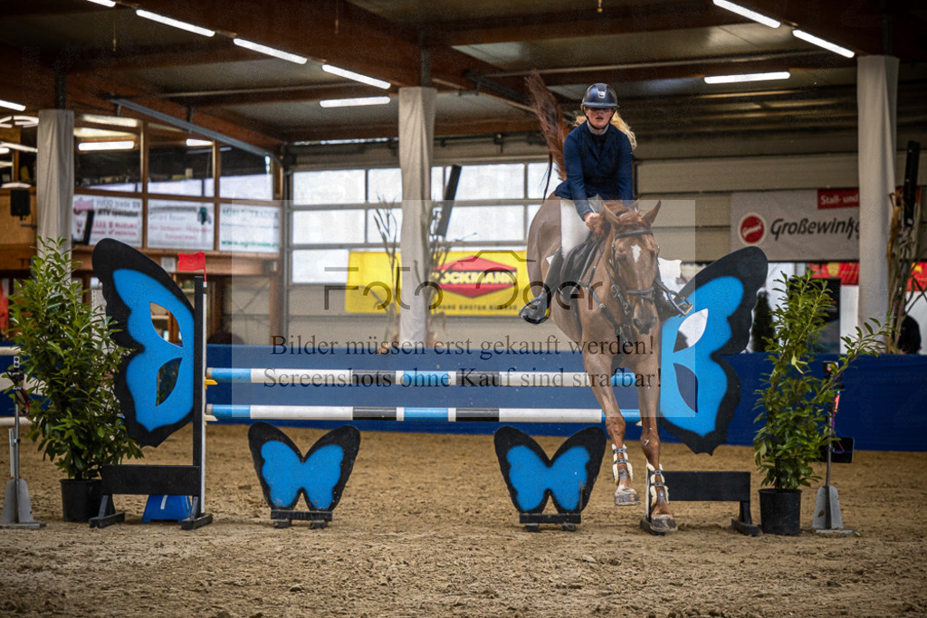 DOS_B1362 | Entdecke hochwertige Reitturnierfotos von Foto Oger. Professionell, emotional und authentisch – jetzt Lieblingsmomente im Shop bestellen.Deutschlandweite Turnierfotografie. - Realisiert mit Pictrs.com