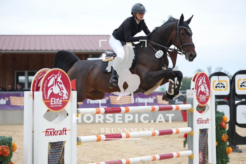 0P6A4989 | Willkommen bei Brunnmayr - Design & Fotografie – Ihrem Spezialisten für Reitturniere und Pferdeveranstaltungen in Oberösterreich, Salzburg und Bayern! Seit über 17 Jahren sind wir leidenschaftlich dabei.