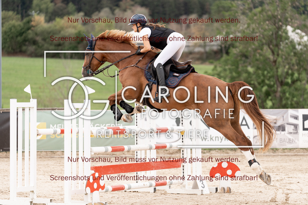 DSC06536 | Springturnier_Teamchallege_Talheim_2026, Alina_Rieker, Diamonique_Z