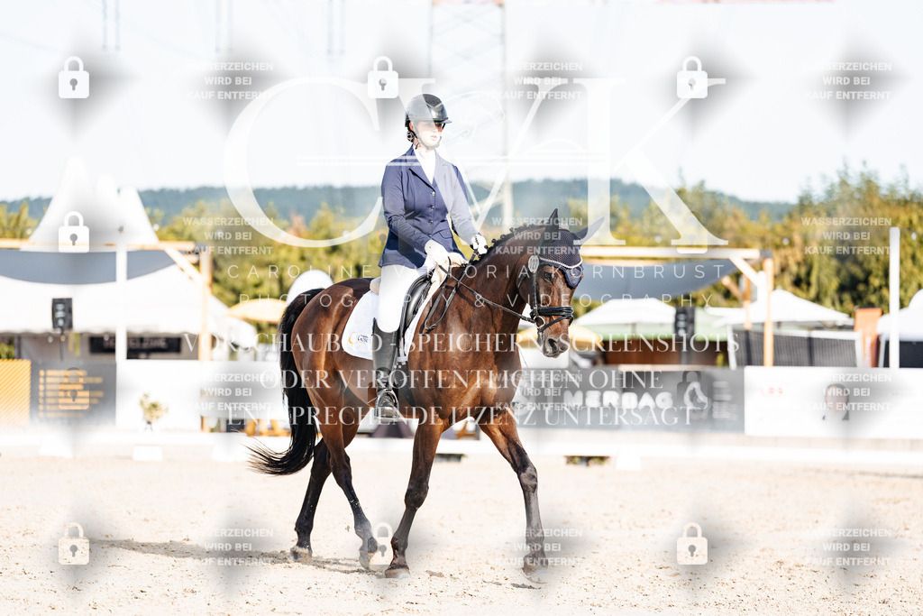 CK905010 | Turnierfotografie Pferdefotografie Trier Rheinland-Pfalz Pferdesport Reitsport Tierfotografie Sportfotografie Pferdevideo Pferdevideografie Equestrianvideography equestrianphotography  - Realisiert mit Pictrs.com