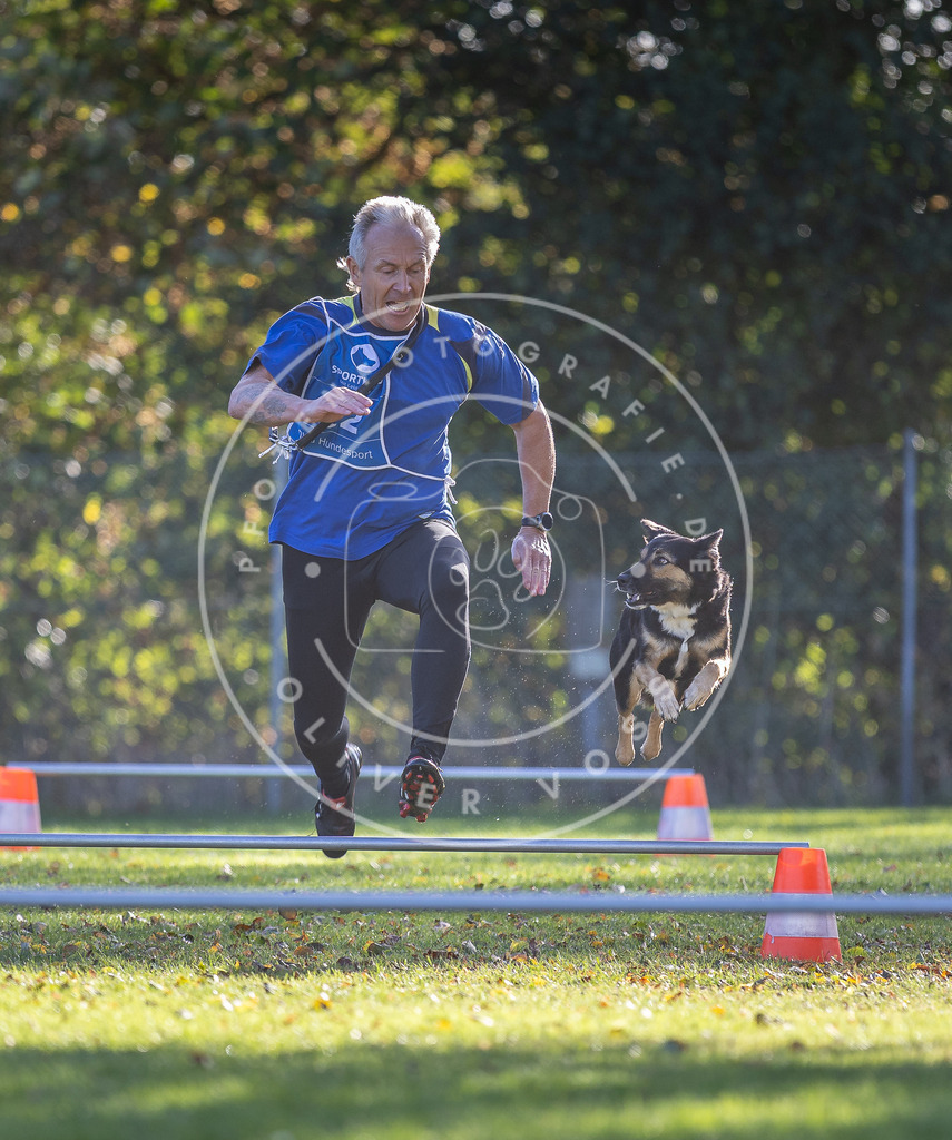 Pfotenfotografie.de_DV3A3084 | Hundefotografie, Tierfotograf, Pfotenfotografie, Fotoshooting Hund, Hunde Portrait, Hundesport, Hundeportraits, Heideshooting, Hunde, Sportfotograf, Hundefotograf, Turnierhundsport, THS, canicross - Realisiert mit Pictrs.com