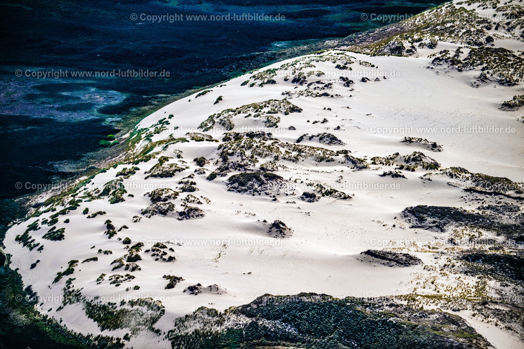 Sylt_List_Wanderdüne_ELS_1192210625 | LIST AUF SYLT 13.08.2025 Sandaufschüttungen einer Wanderdünenfläche in der Nordsee an der Listlandstraße in List auf Sylt im Bundesland Schleswig-Holstein, Deutschland. // Sand deposits of a shifting dune area in the North Sea on street Listlandstrasse in List auf Sylt in the state Schleswig-Holstein, Germany. Foto: Martin Elsen