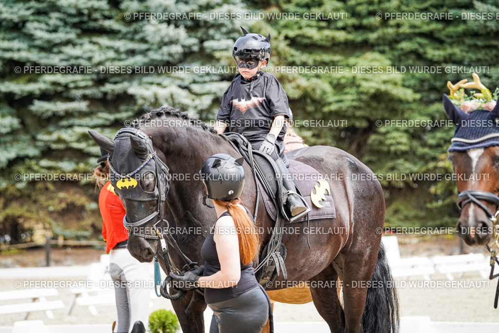 DSC03187 | Pferdegrafie