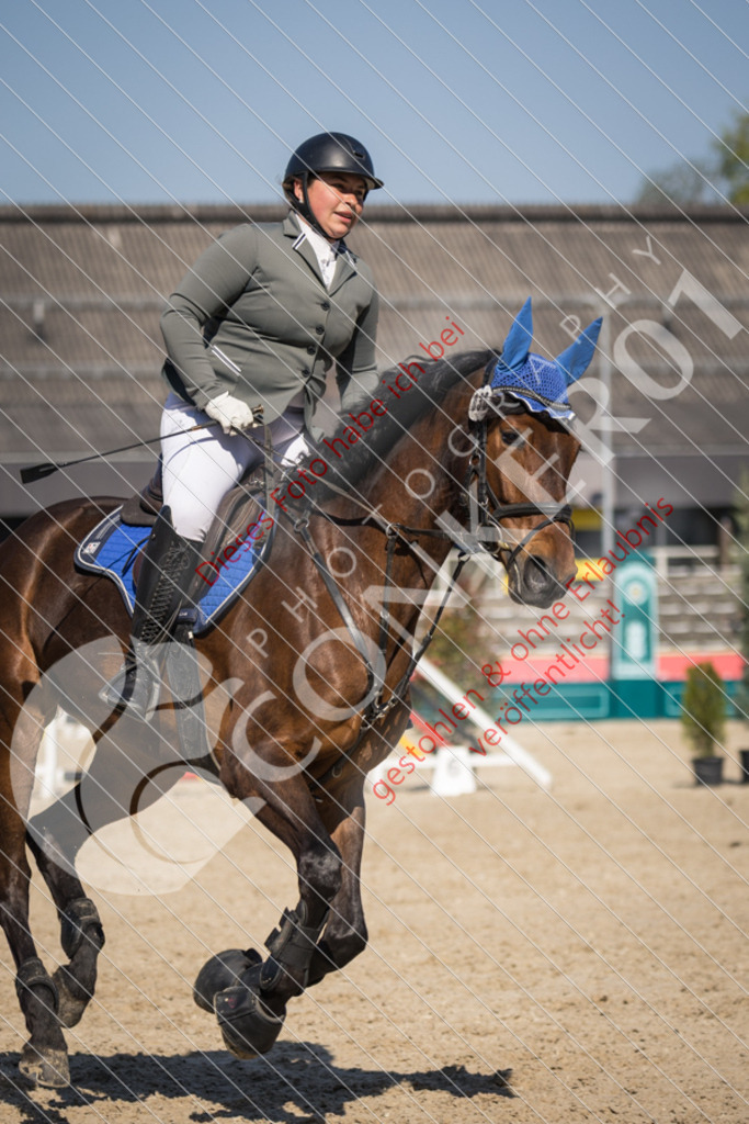 IMG_3686 | Sport-, Event- und Tierfotos in Profiqualität. Einfach auswählen, bestellen und herunterladen. Dein Moment – perfekt festgehalten.
