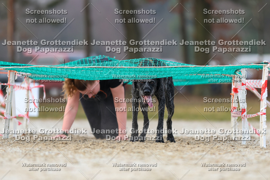 Dog Paparazzi - Strongdog North Mrz26-3695 | Dog Paparazzi Jeanette Grottendiek Fotografie & Videografie - Realisiert mit Pictrs.com