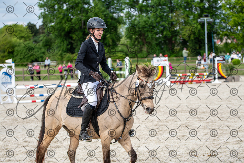 KPT_6669 | andre_photographic