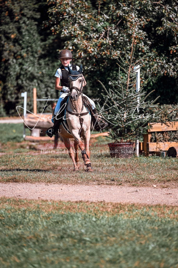 DSC_1069 | Pferde- und Turnierfotografie in Westsachsen. Pferdeportraits, Auftragszeichnungen und intuitive Kunst.