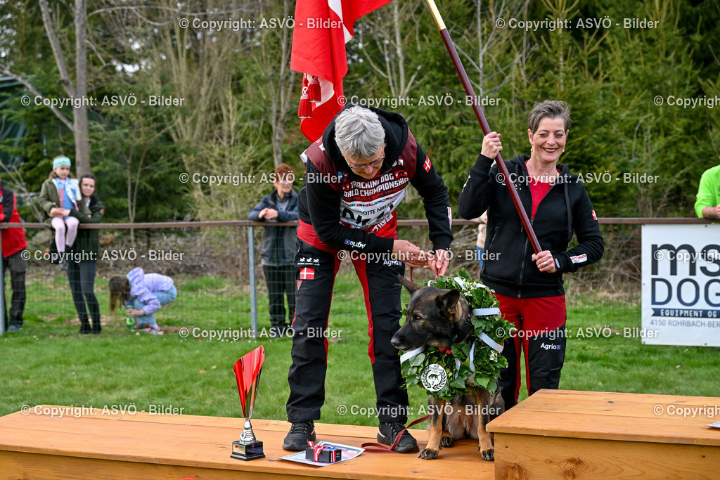 ASVÖ_ Tracking Dog World Championship 2025_ 05.04.2025-195 | bilder.asvo-sport - Realisiert mit Pictrs.com