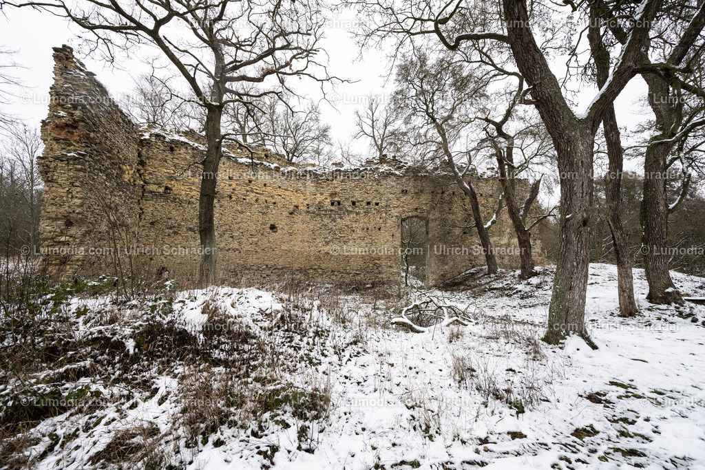 10049-12696 - Domburg im Hakel | Stockfoto und Bilderpool mit Bildmaterial aus Deutschland, dem Harz, Halberstadt, Quedlinburg, Wernigerode und weltweit. Qualitativ hochwertige und professionelle Fotos anschauen und kaufen. - Realisiert mit Pictrs.com