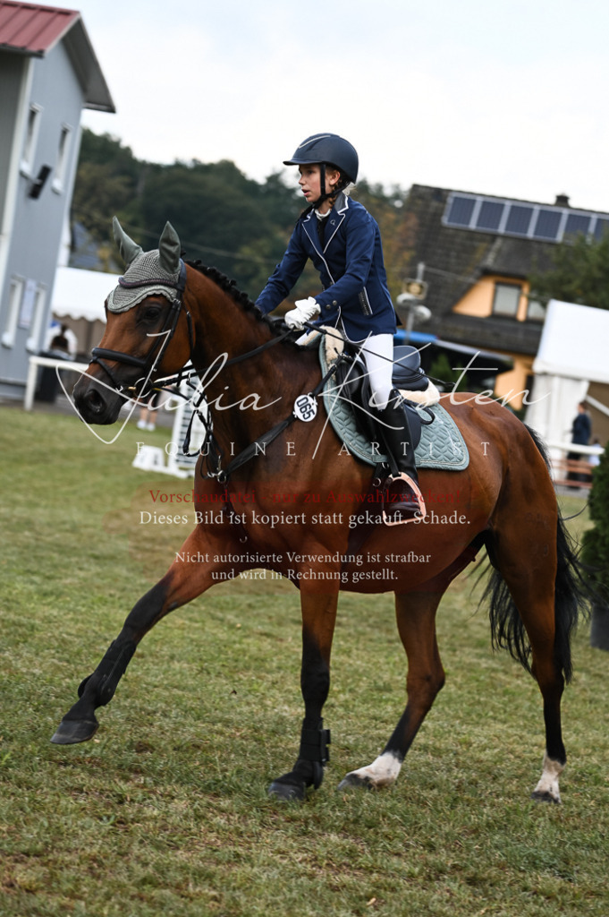 DSC_5688 | Pferde- und Turnierfotografie in Westsachsen. Pferdeportraits, Auftragszeichnungen und intuitive Kunst.