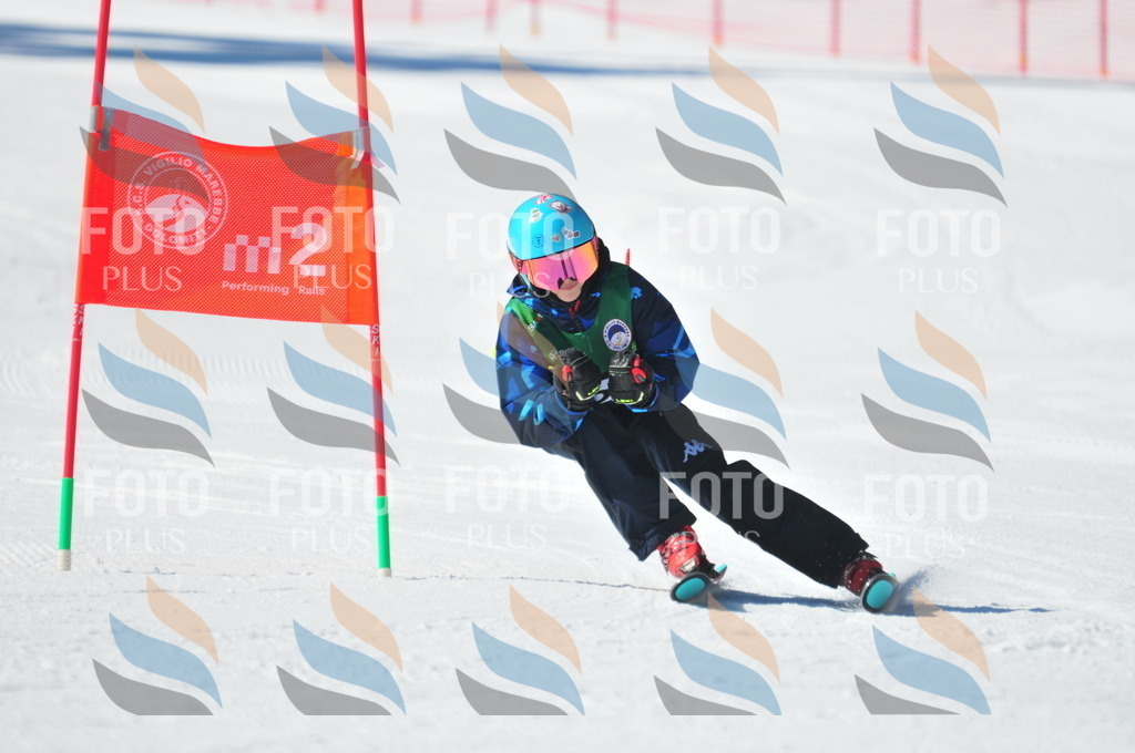 C3749 | holidayphoto