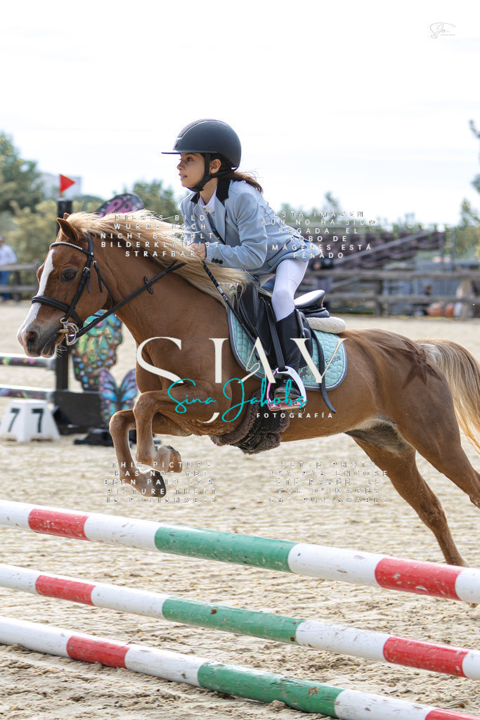 IMG_5284 | s-jay-photography - Realisiert mit Pictrs.com