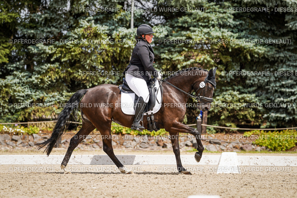 DSC02805 | Pferdegrafie