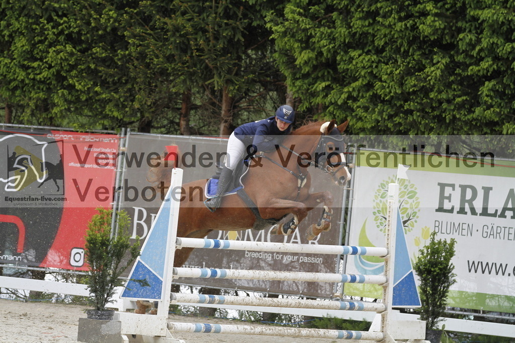 _MG_1651 | equestrian-live-com