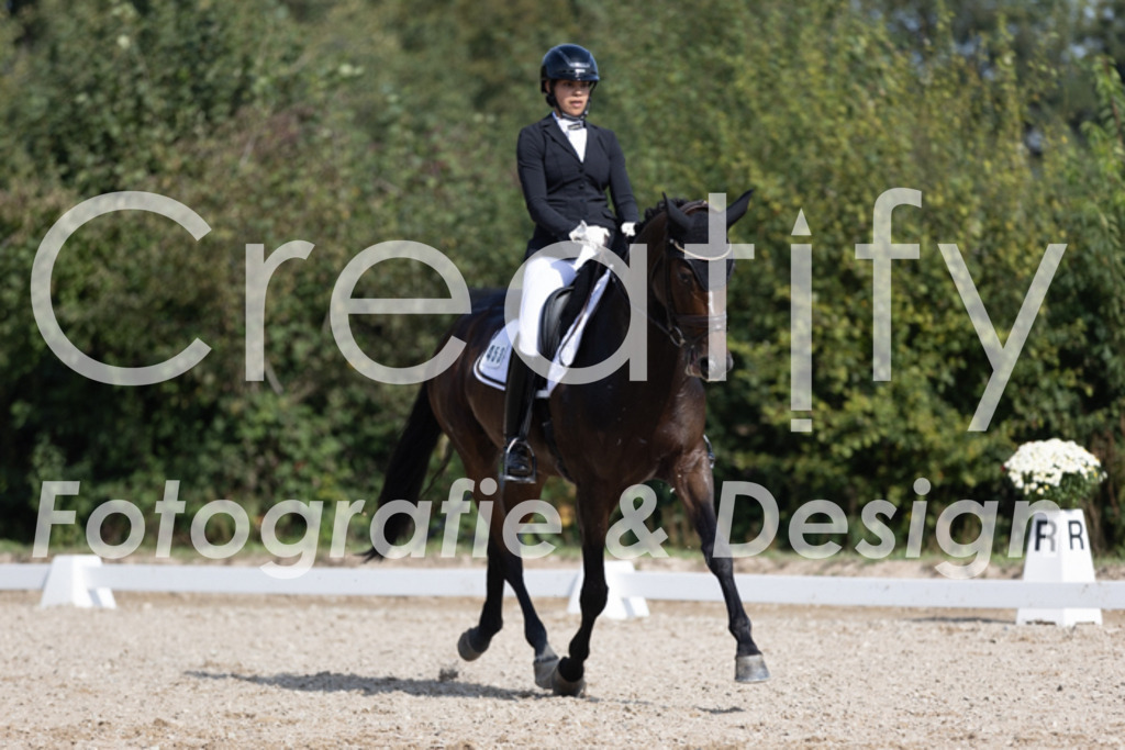 IMG_3763 | Creatify Fotografie