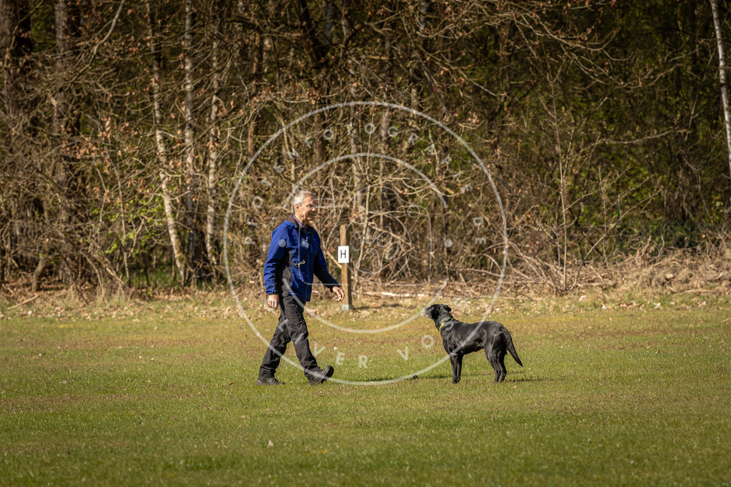 Pfotenfotografie_DV3A0382 | Hundefotografie, Tierfotograf, Pfotenfotografie, Fotoshooting Hund, Hunde Portrait, Hundesport, Hundeportraits, Heideshooting, Hunde, Sportfotograf, Hundefotograf, Turnierhundsport, THS,  - Realisiert mit Pictrs.com