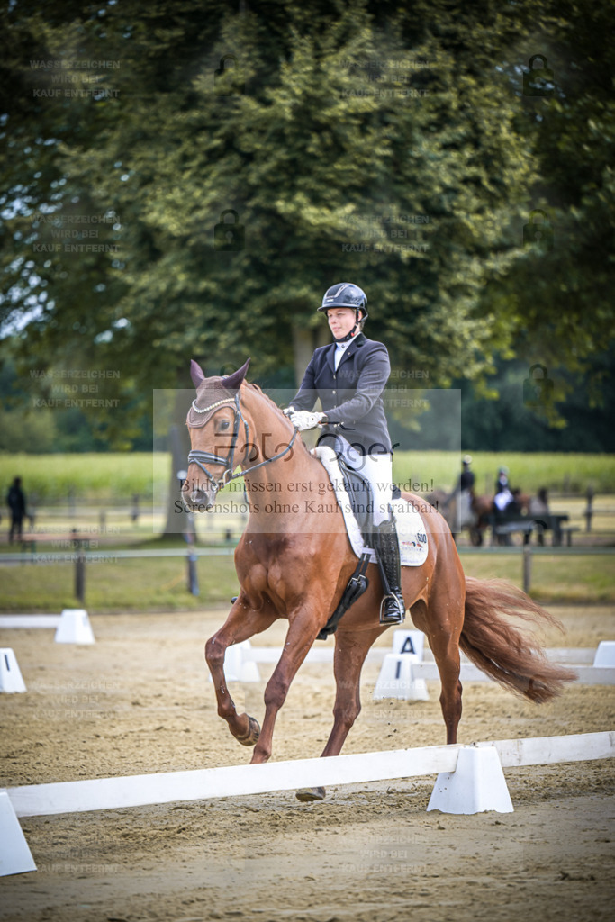 DOS_8726 | Entdecke hochwertige Reitturnierfotos von Foto Oger. Professionell, emotional und authentisch – jetzt Lieblingsmomente im Shop bestellen. - Realisiert mit Pictrs.com