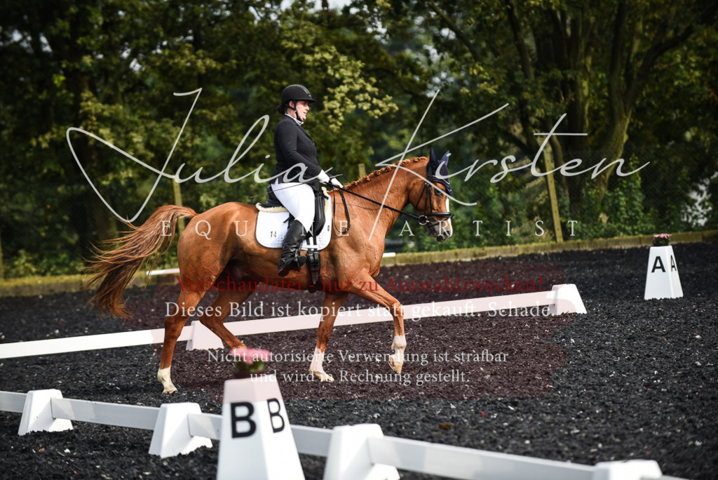 DSC_3048 | Pferde- und Turnierfotografie in Westsachsen. Pferdeportraits, Auftragszeichnungen und intuitive Kunst.
