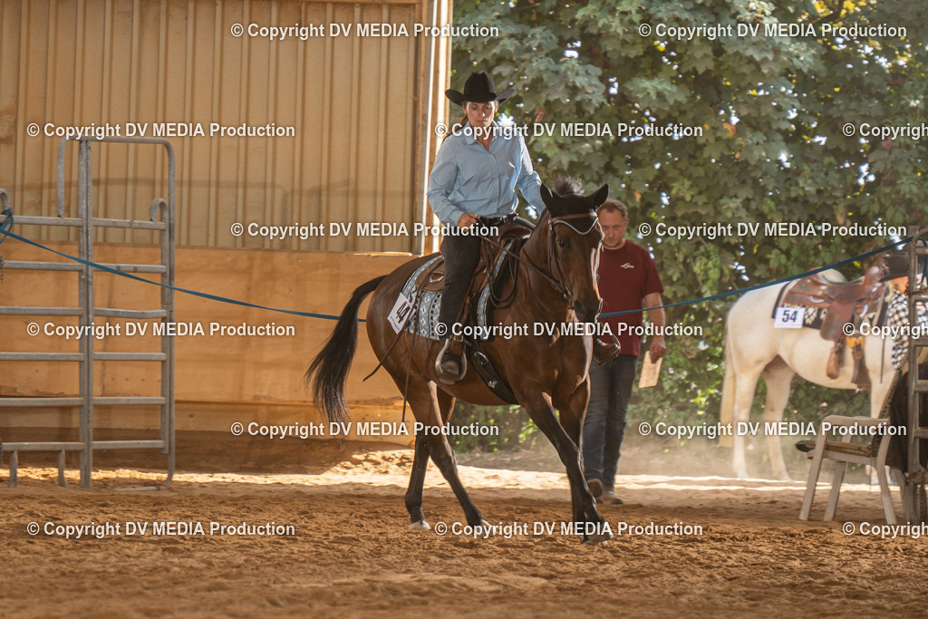 NID03639 | dv-media-shop - Realisiert mit Pictrs.com