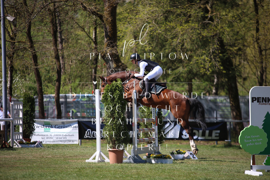 IMGT0998 | pl-fotografie