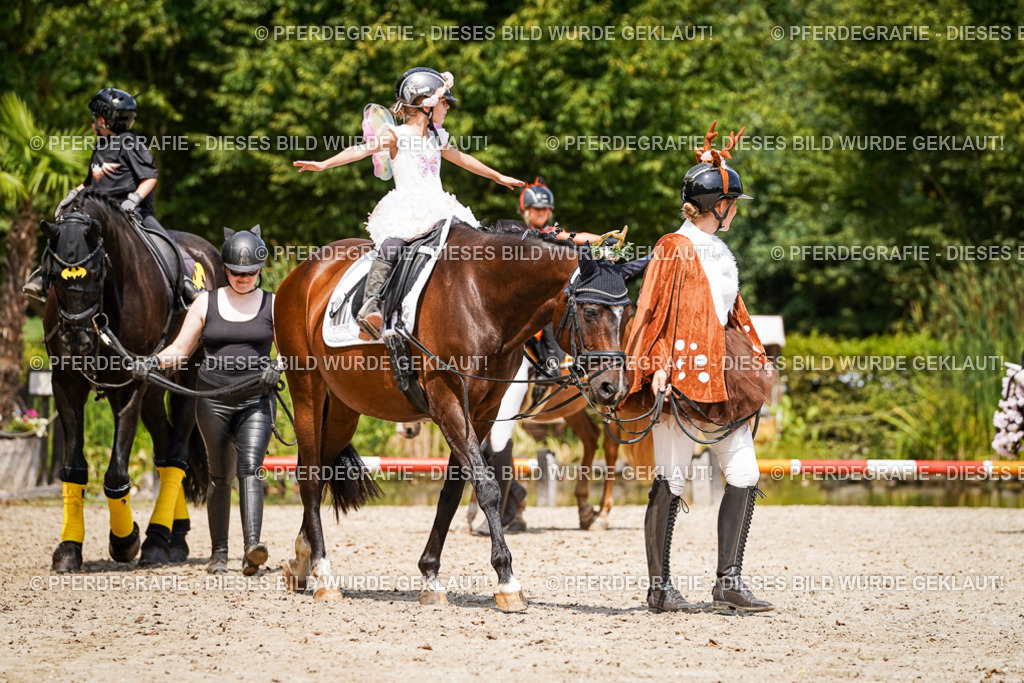 DSC03028 | Pferdegrafie