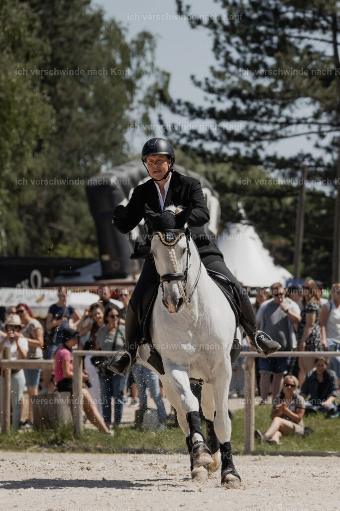 WE_SP_Stoib_307_PI2025_1760 | Pferd International München 2025