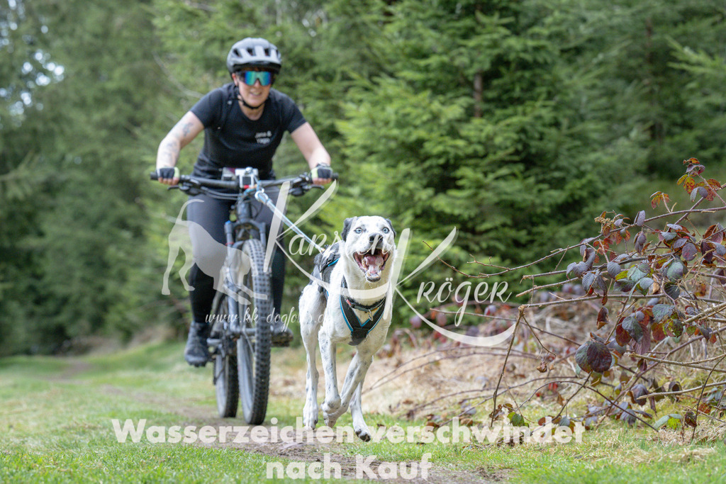 1311_ZZ93951 | kk-dogfotos
