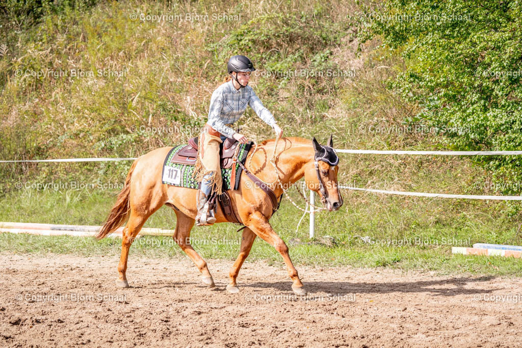 SAL03116 | BS-foto