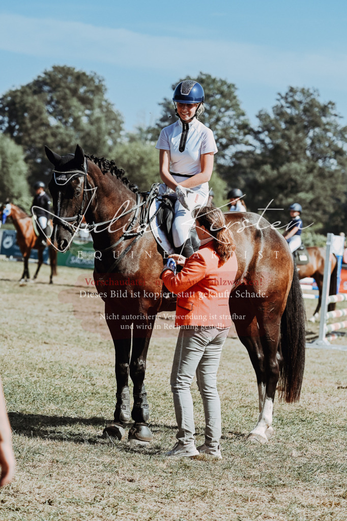 DSC_0156 | Pferde- und Turnierfotografie in Westsachsen. Pferdeportraits, Auftragszeichnungen und intuitive Kunst.
