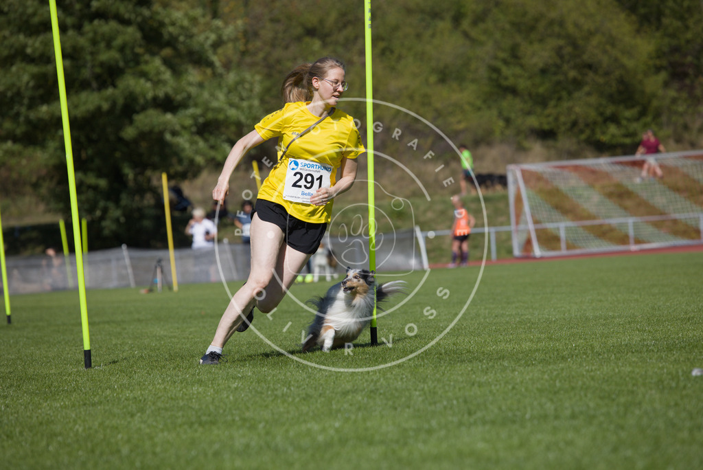 0L8A7021 | Hundefotografie, Tierfotograf, Pfotenfotografie, Fotoshooting Hund, Hunde Portrait, Hundesport, Hundeportraits, Heideshooting, Hunde, Sportfotograf, Hundefotograf, Turnierhundsport, THS,  - Realisiert mit Pictrs.com