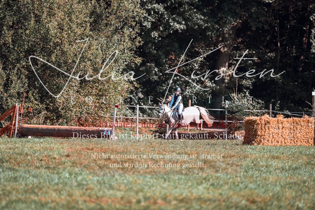 DSC_0653 | Pferde- und Turnierfotografie in Westsachsen. Pferdeportraits, Auftragszeichnungen und intuitive Kunst.