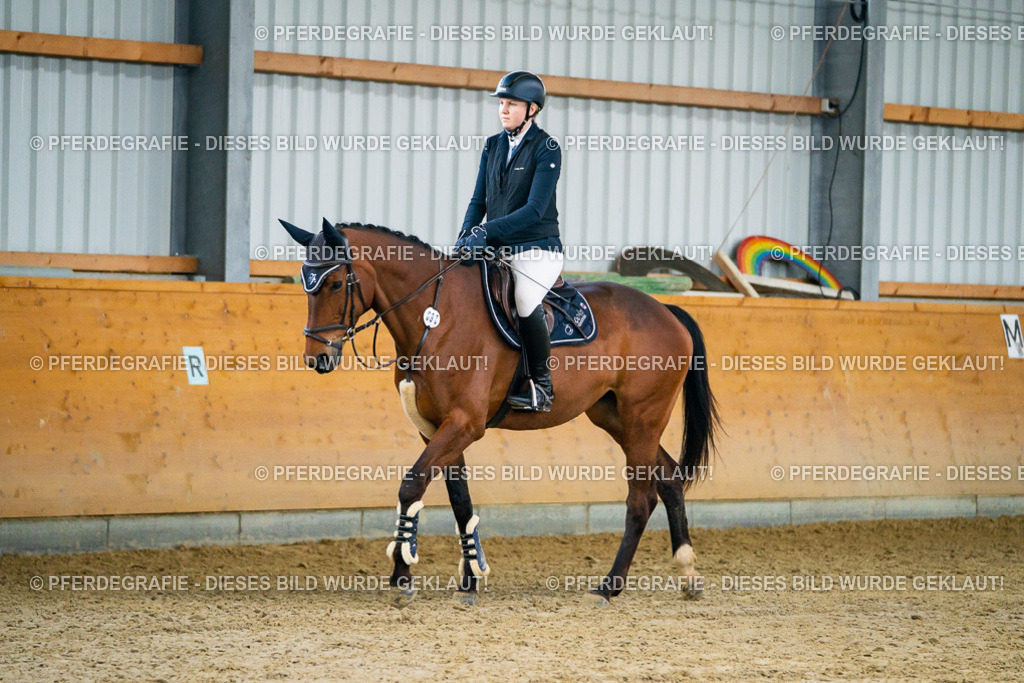 DSC00527 | Pferdegrafie