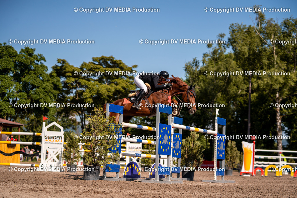 Eppelheim Tag 3-884 | dv-media-shop - Realisiert mit Pictrs.com