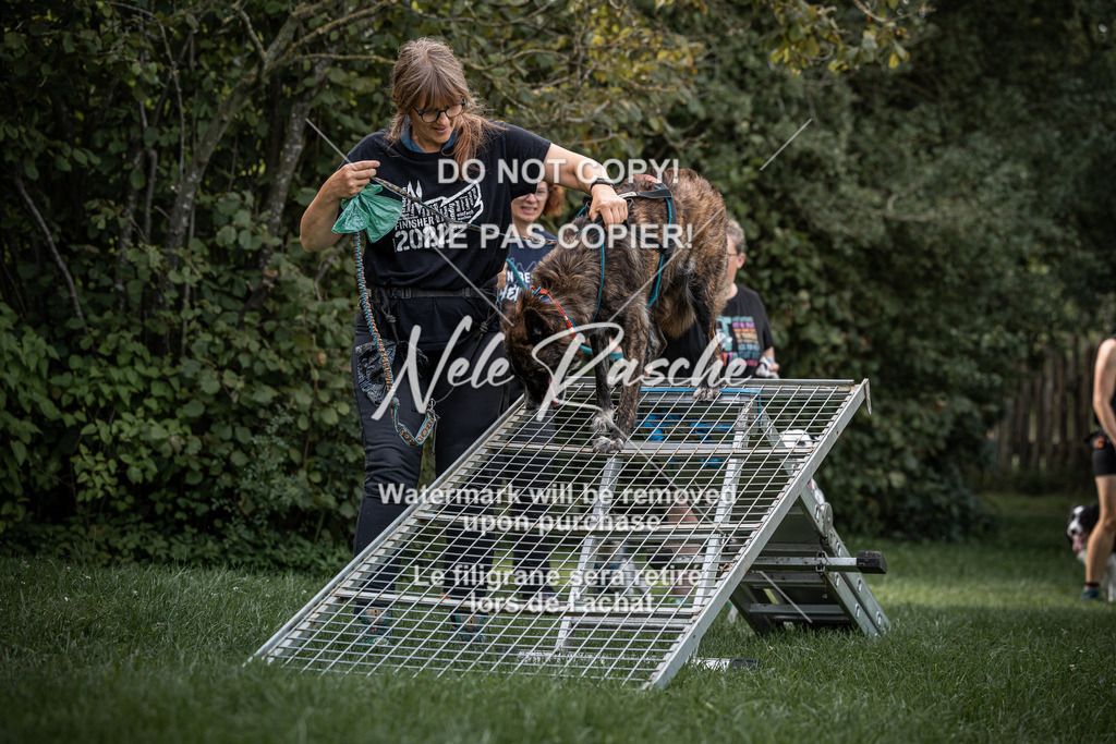 nelerasche_SoLauf_25 | nelerasche