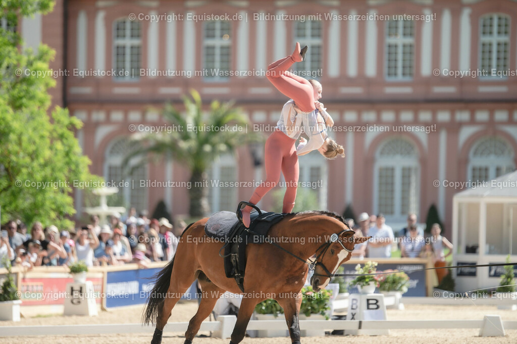 20230528_Voltigieren_NASPA_0413 | equistock
