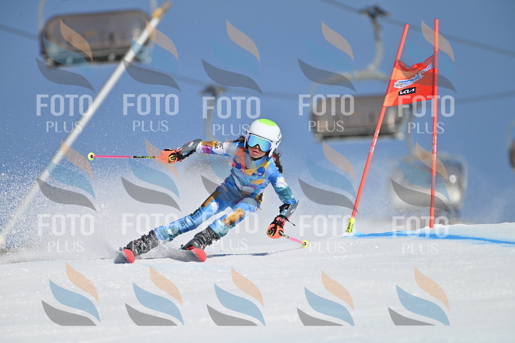 BGV_7609 | holidayphoto