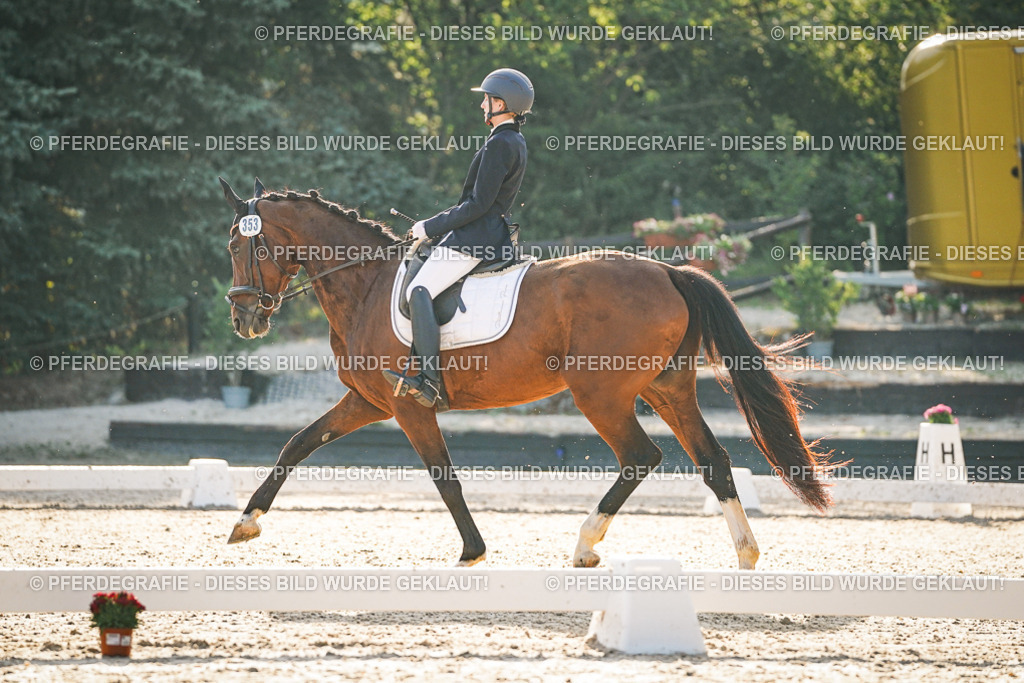 DSC07864 | Pferdegrafie