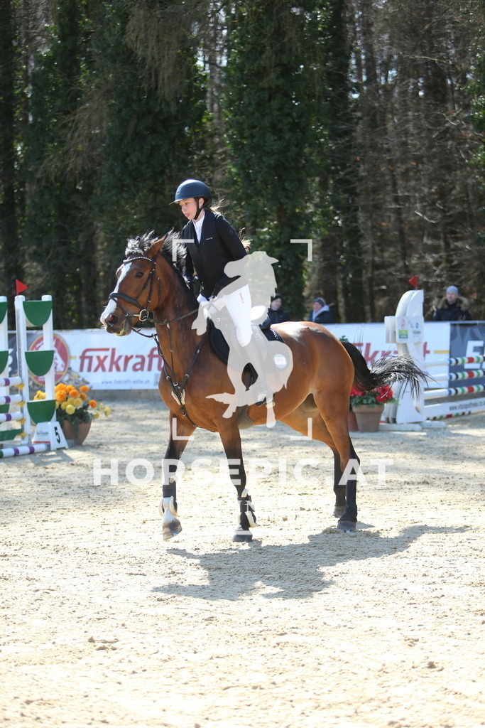 DL2Q2658 | Willkommen bei Brunnmayr - Design & Fotografie – Ihrem Spezialisten für Reitturniere und Pferdeveranstaltungen in Oberösterreich, Salzburg und Bayern! Seit über 17 Jahren sind wir leidenschaftlich dabei.