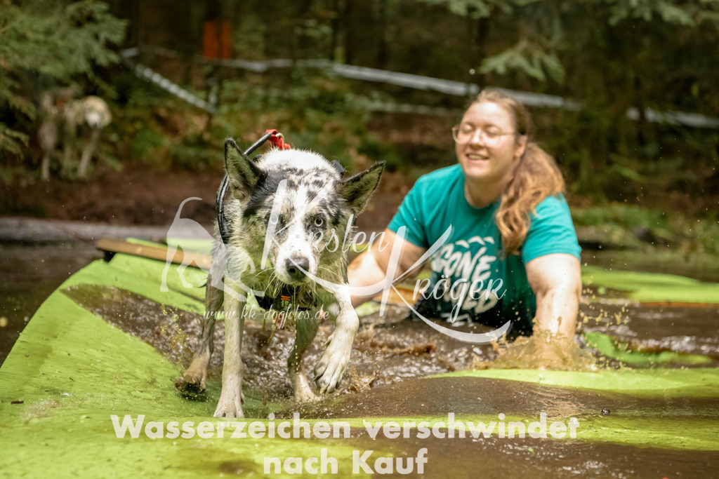 1204_ZZ92551-Bearbeitet | kk-dogfotos
