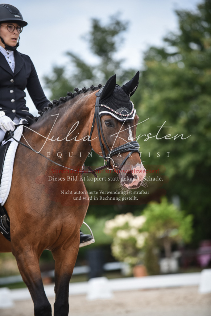 DSC_8574 | Pferde- und Turnierfotografie in Westsachsen. Pferdeportraits, Auftragszeichnungen und intuitive Kunst.