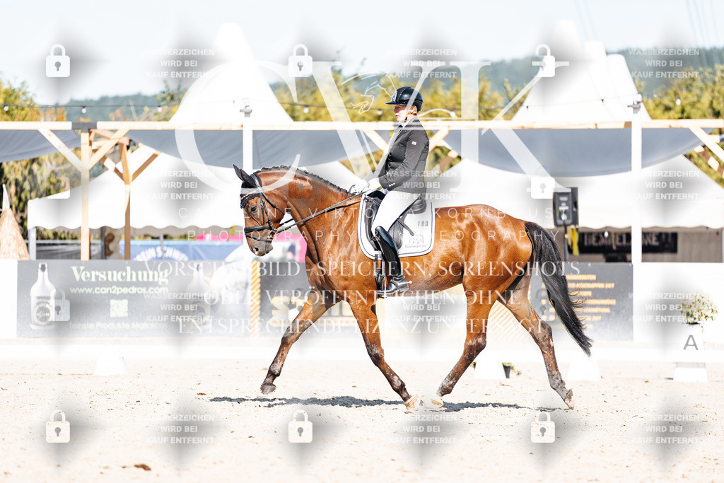 CK908275 | Turnierfotografie Pferdefotografie Trier Rheinland-Pfalz Pferdesport Reitsport Tierfotografie Sportfotografie Pferdevideo Pferdevideografie Equestrianvideography equestrianphotography  - Realisiert mit Pictrs.com