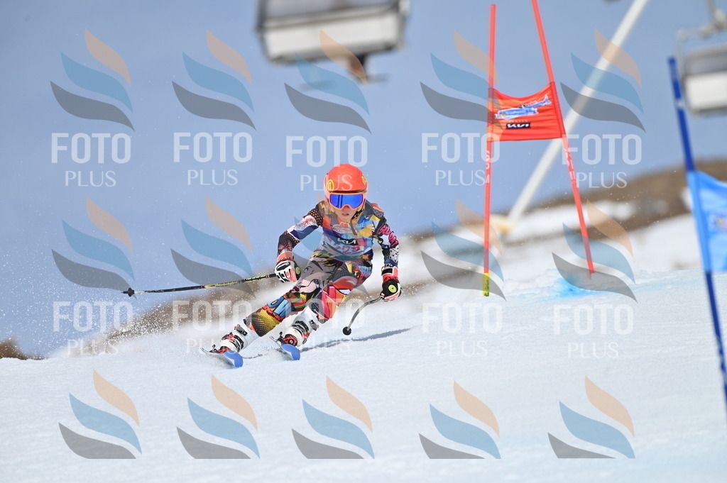 BGV_1477 | holidayphoto