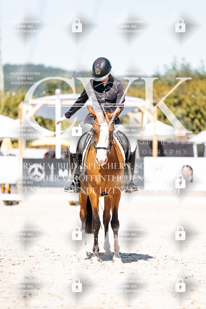 CK900226 | Turnierfotografie Pferdefotografie Trier Rheinland-Pfalz Pferdesport Reitsport Tierfotografie Sportfotografie Pferdevideo Pferdevideografie Equestrianvideography equestrianphotography  - Realisiert mit Pictrs.com